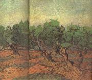 Vincent Van Gogh Olive Grove (nn04) Sweden oil painting artist